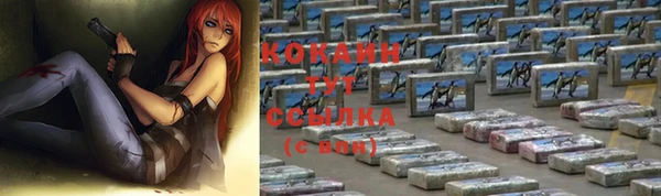 спайс Арсеньев