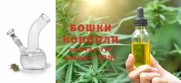 спайс Арсеньев