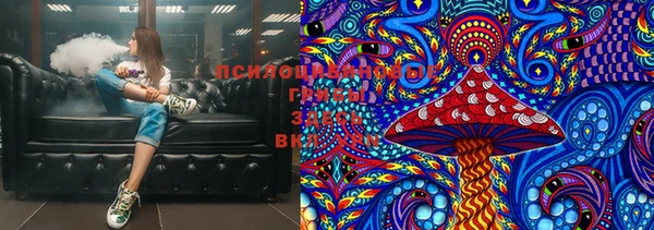 СК Алексеевка
