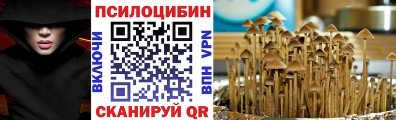 Псилоцибиновые грибы MAGIC MUSHROOMS  дарнет шоп  Бодайбо 